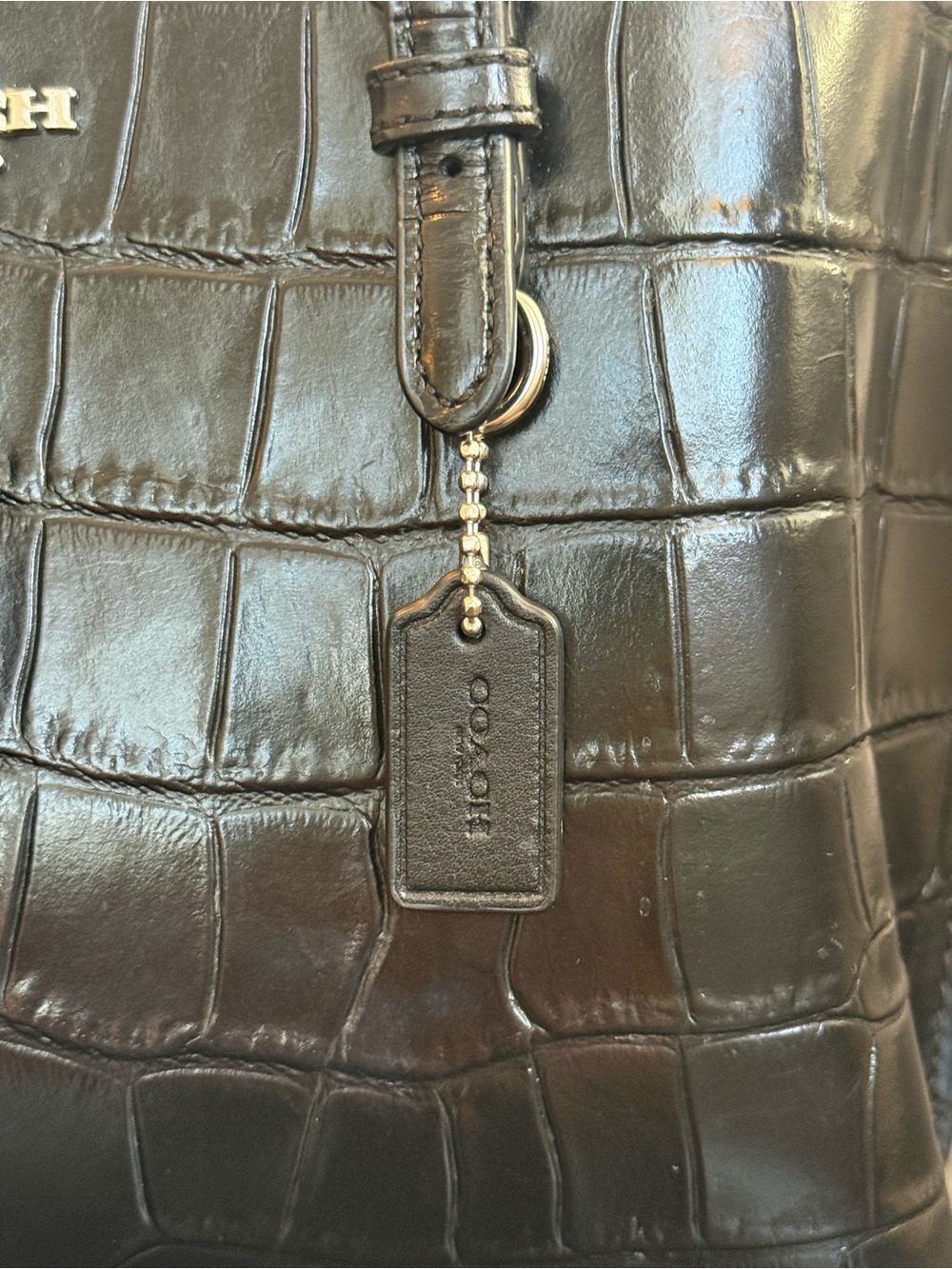 COACH Black Croc Mollie Tote Bag 25 | Style CW017 - Picture 12 of 12